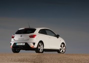 Seat Ibiza Bocanegra